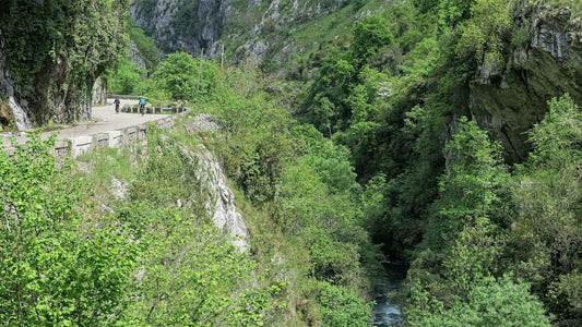 Cyclists on a Picos de Europa gorge in Spain