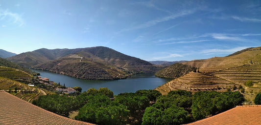 Discover the Douro Valley by Bike: Wine, River, and Scenic Cycling Tour in Portugal