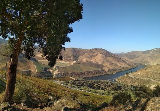 Off the Beaten Path: Discovering the Hidden Corners of the Douro Valley