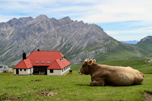 Peaks, Picos, and a Pinch of Paprika: A Travelers Guide to the Picos de Europa