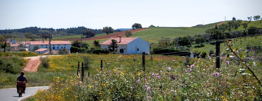 Beyond the Tagus - Portugal's Alentejo, where you can take your time