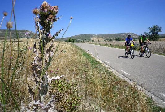 Everything you need to know to plan your own bike tour on the Camino de Santiago