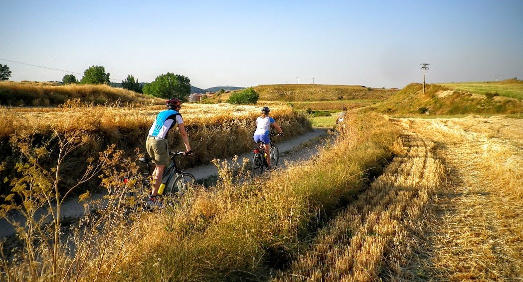 Four cyclists ride along a narrow dirt path through golden fields and tall grass, with clear blue skies overhead and rolling hills in the background.