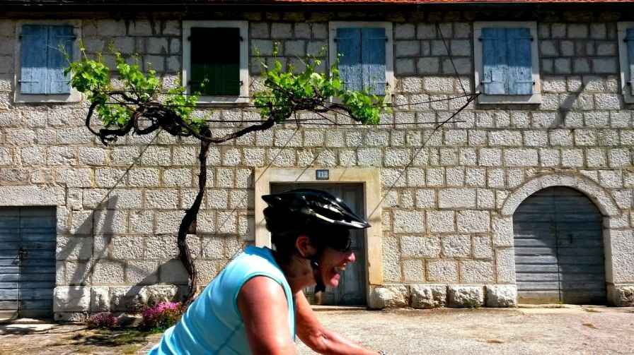 A woman wearing a helmet and blue shirt rides a bicycle past a stone building in Croatia with blue shutters and a small, leafy vine growing on the wall.