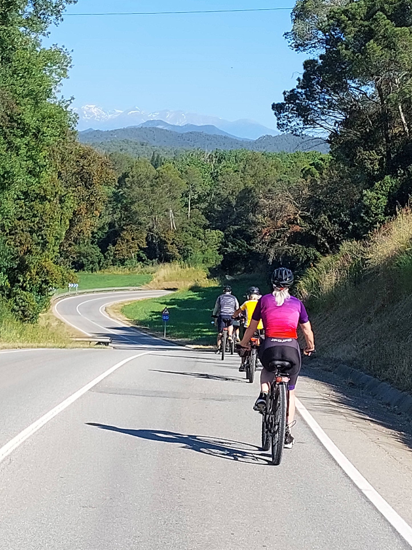 Cyclists riding down an empty road with trees, snow capped Pyrenees and blue sky in the background