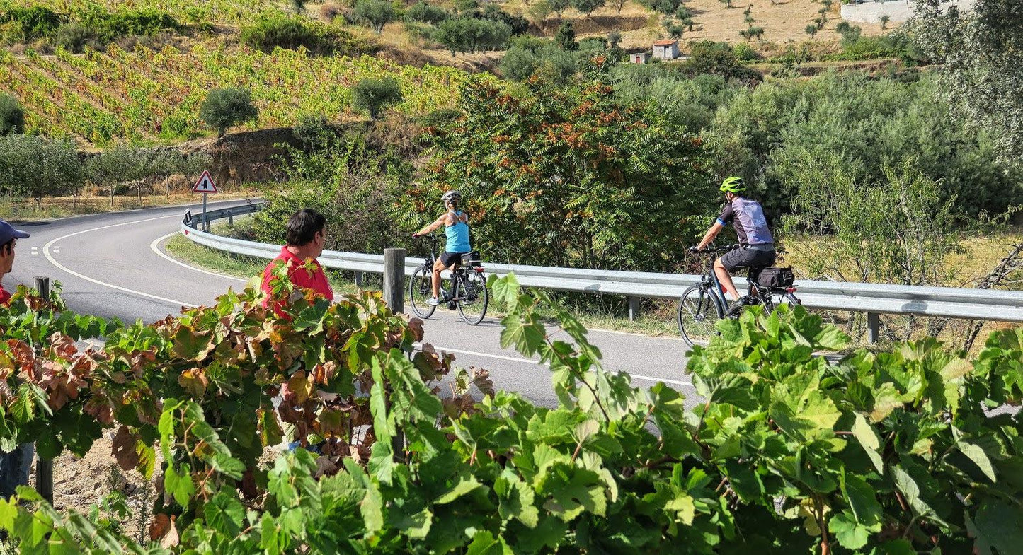 Douro Bike Tour