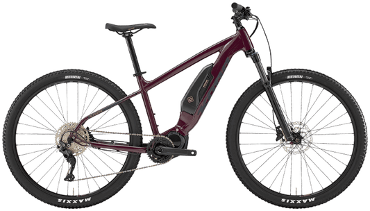 Electric Assisted Ebikes