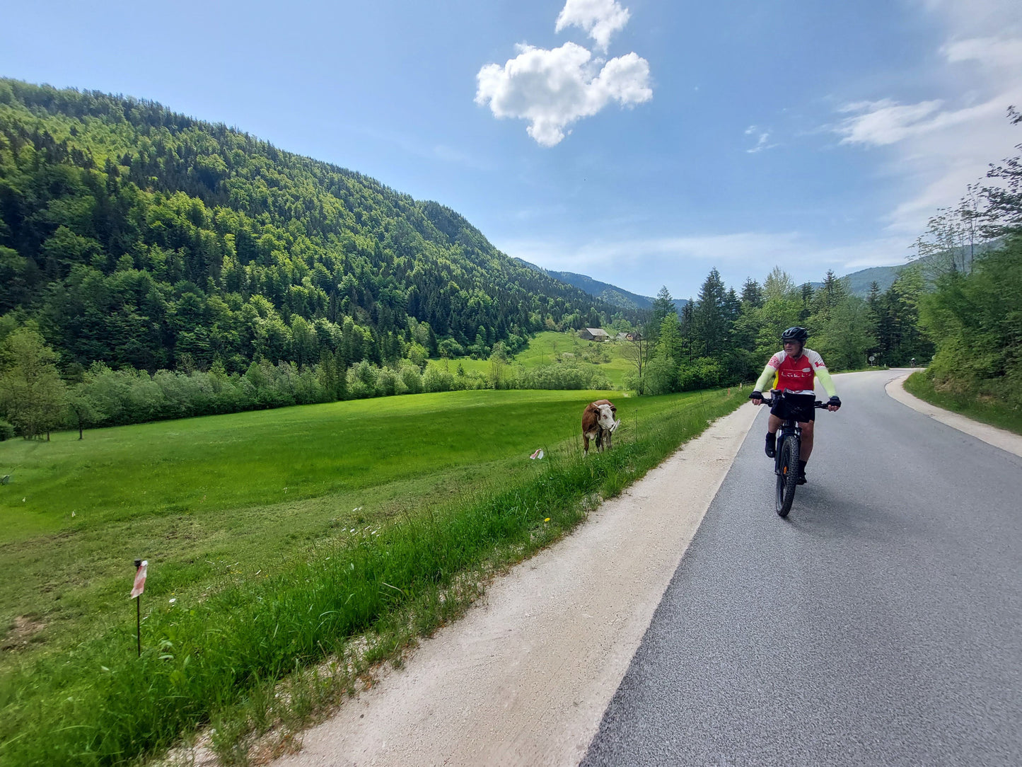 Slovenia Explorer Bike Tour