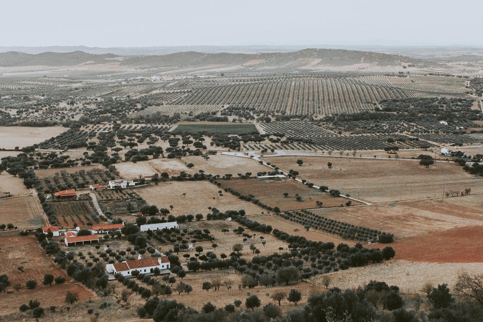 Alentejo Self Guided Gravel Bike Tour - CTTC Bike Tours