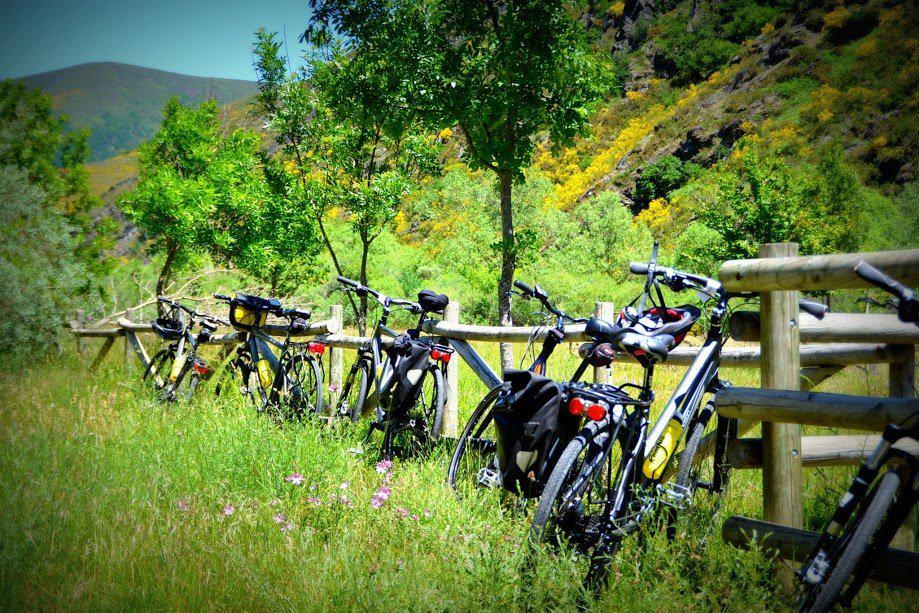 Picos de Europa Bike Tour