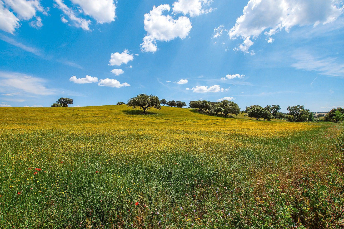 Alentejo Self Guided Gravel Bike Tour - CTTC Bike Tours