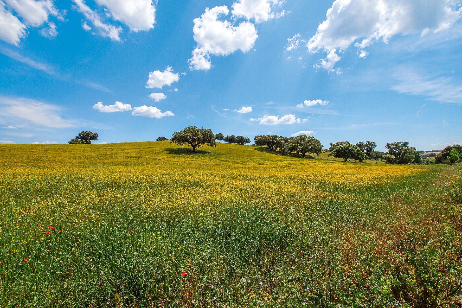 Alentejo Self Guided Gravel Bike Tour - CTTC Bike Tours